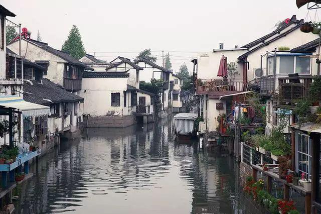 逃离月日森林